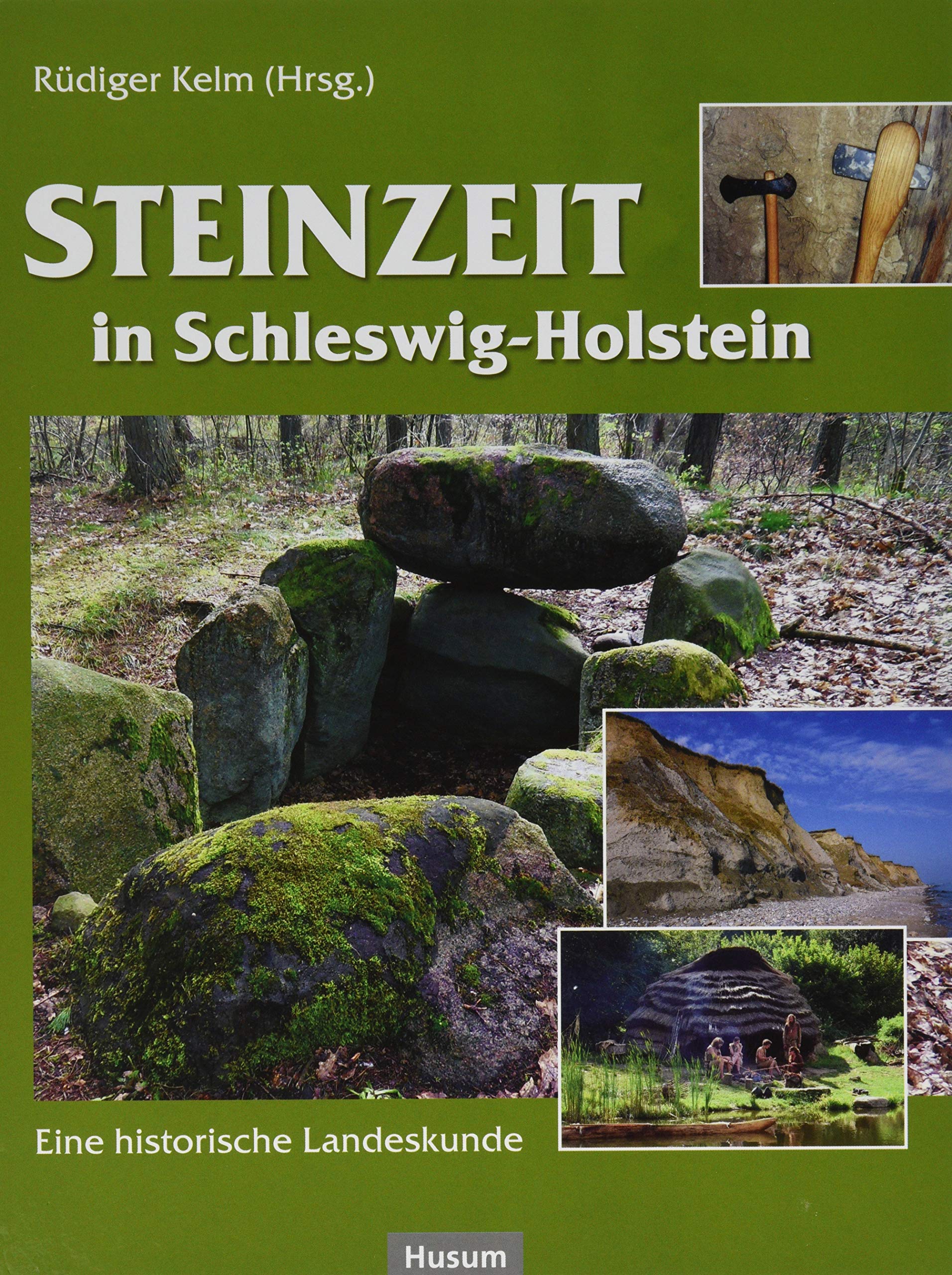 Steinzeit in Schleswig-Holstein: Eine historische Landeskunde Natural Sciences