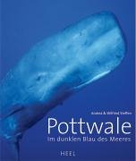 Pottwale: Im dunklen Blau des Meeres Pets