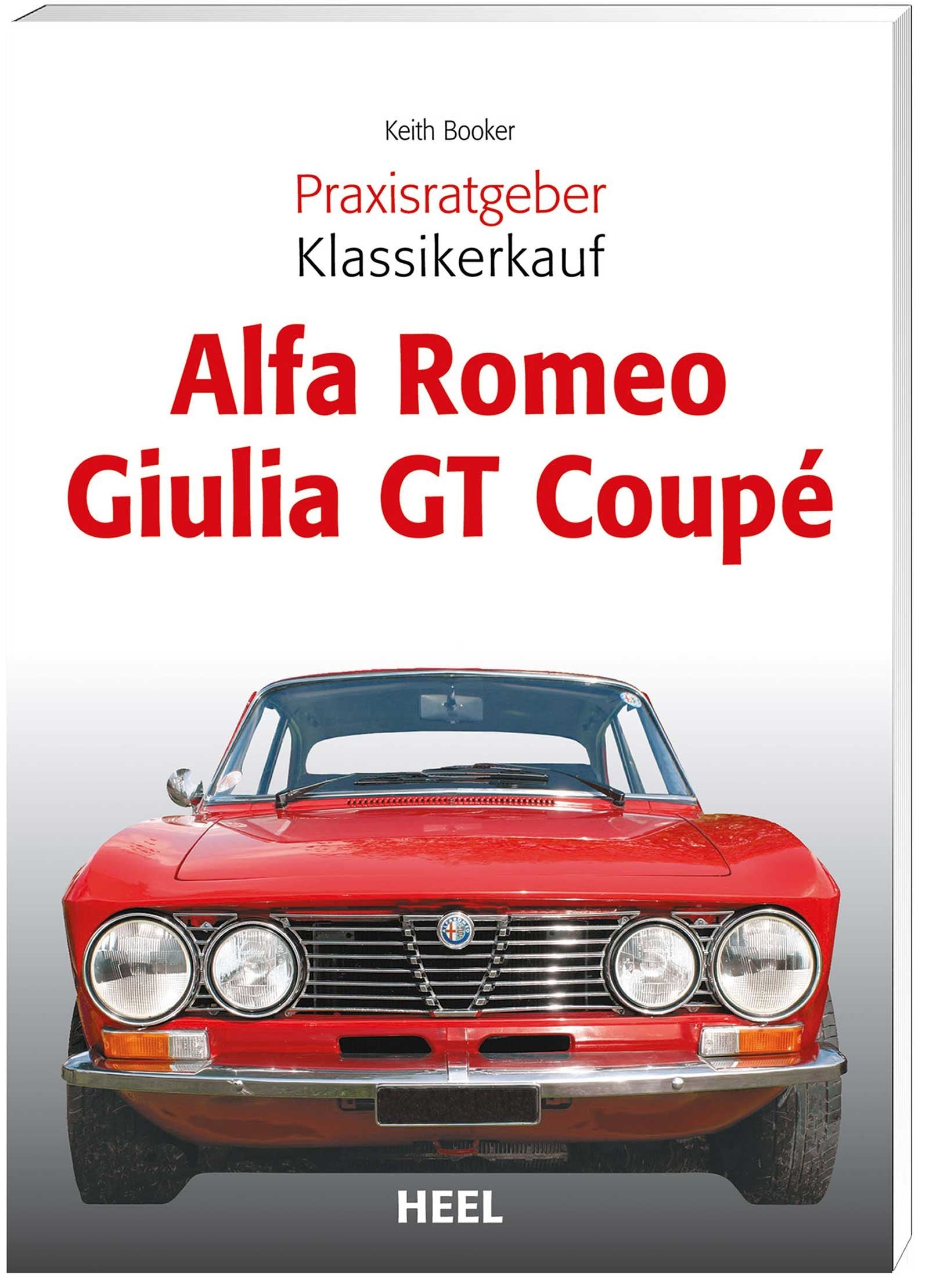 Praxisratgeber Klassikerkauf: Alfa GT Leisure, Home & Garden