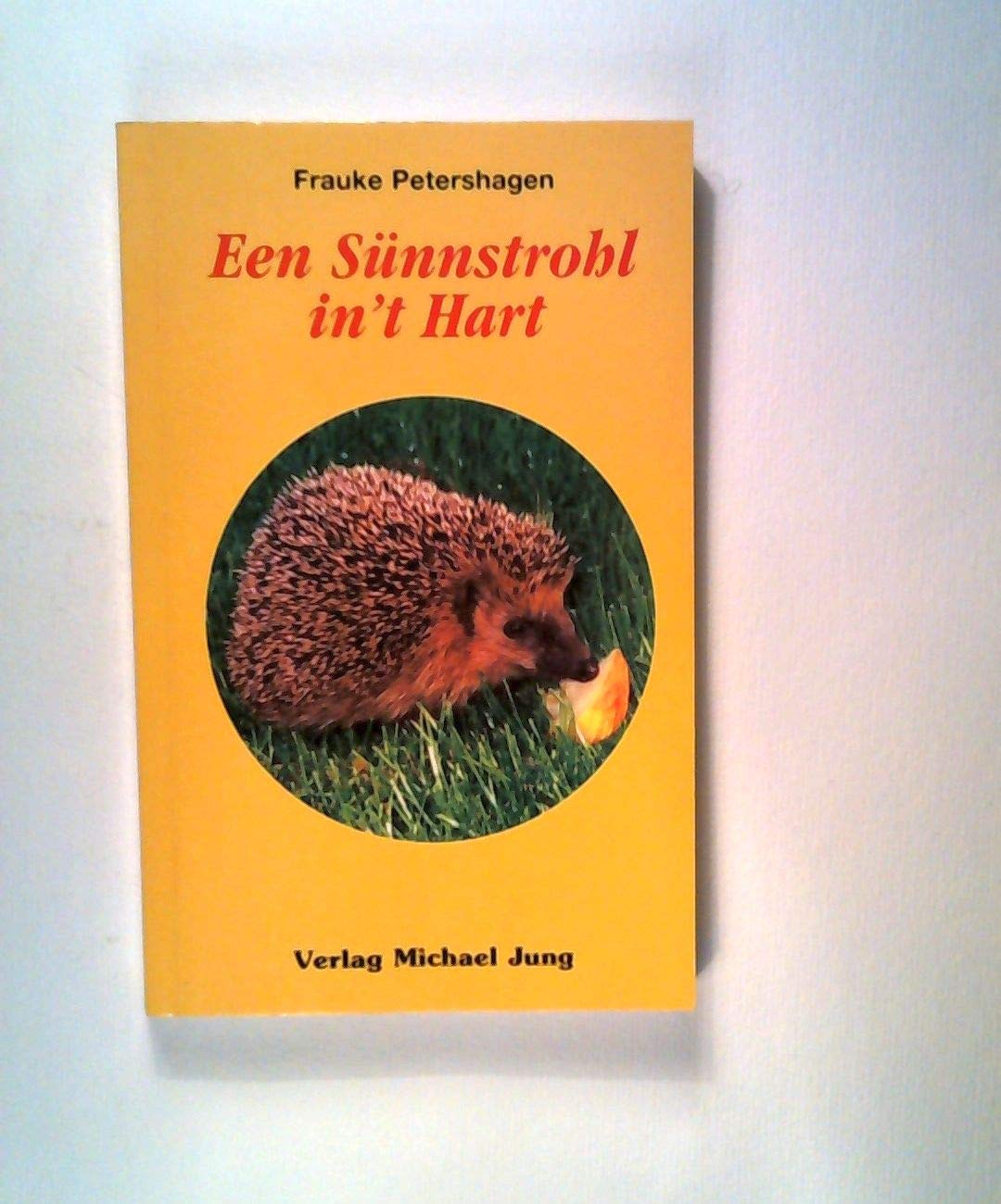 Een Sünnstrohl in't Hart Fiction