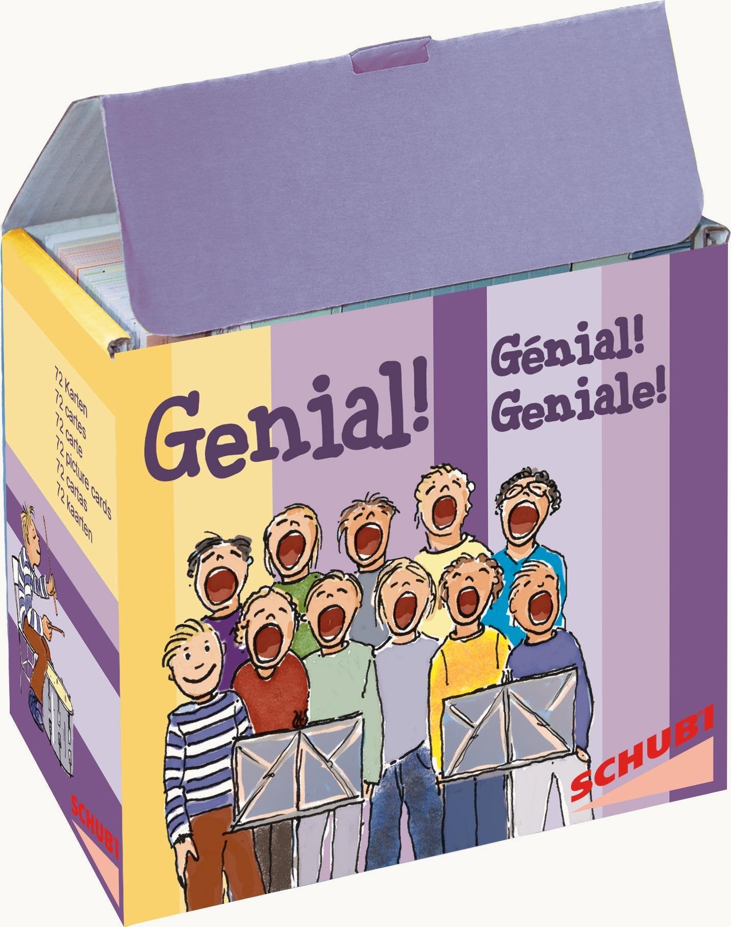 Genial! - Bildergeschichten (Bildkarten) Learning & Reference