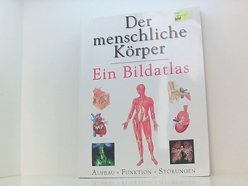Der menschliche Körper: Aufbau, Funktionen, Störungen Business & Technology