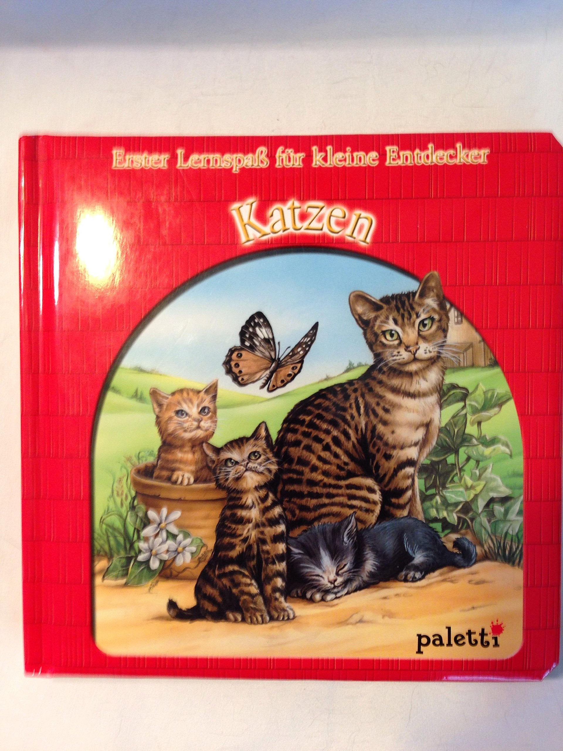 Erster Lernspass für kleine Entdecker - Katzen Non-fiction