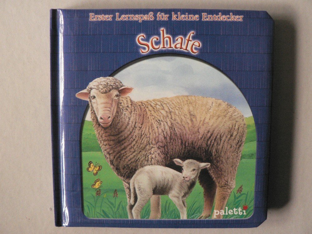 Erster Lernspass für kleine Entdecker - Schafe Non-fiction