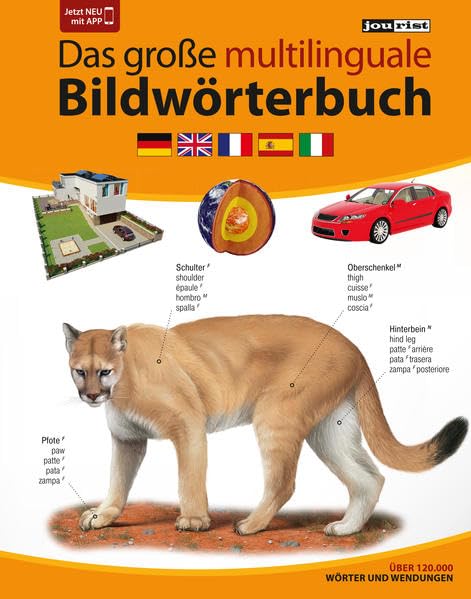 JOURIST Das große multilinguale Bildwörterbuch Deutsch-Englisch-Französisch-Spanisch-Italienisch: 120.000 Wörter und Wendungen: 120.000 Wörter und ... das sechssprachige Bildwörterbuch-App. Foreign Languages ​​& Dictionaries