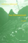 Aus Sternenstaub: Novelle Contemporary literature