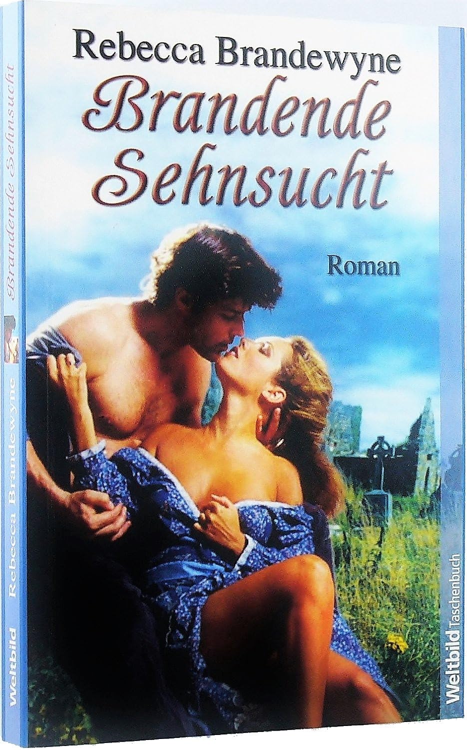 Brandende Sehnsucht Contemporary literature