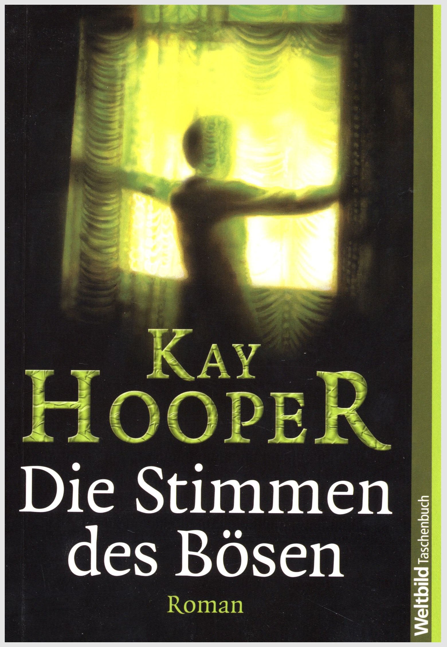 Die Stimmen des Bösen Contemporary literature Books