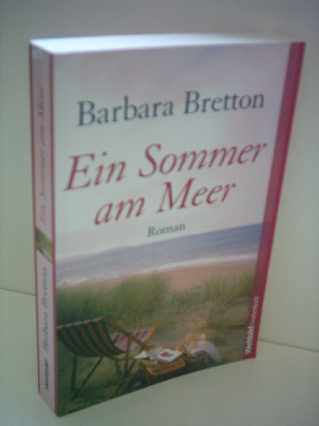 Ein Sommer am Meer Contemporary literature Books