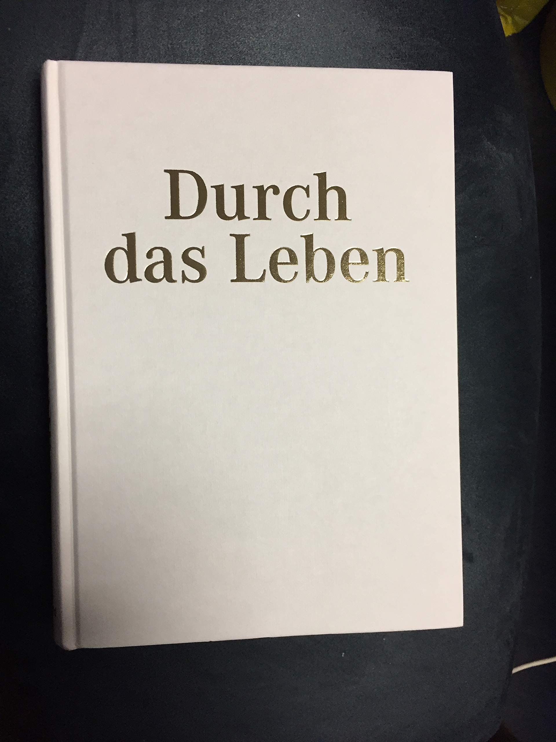 Durch das Leben: Christliches Hausbuch für die ganze Familie Religion & Esotericism