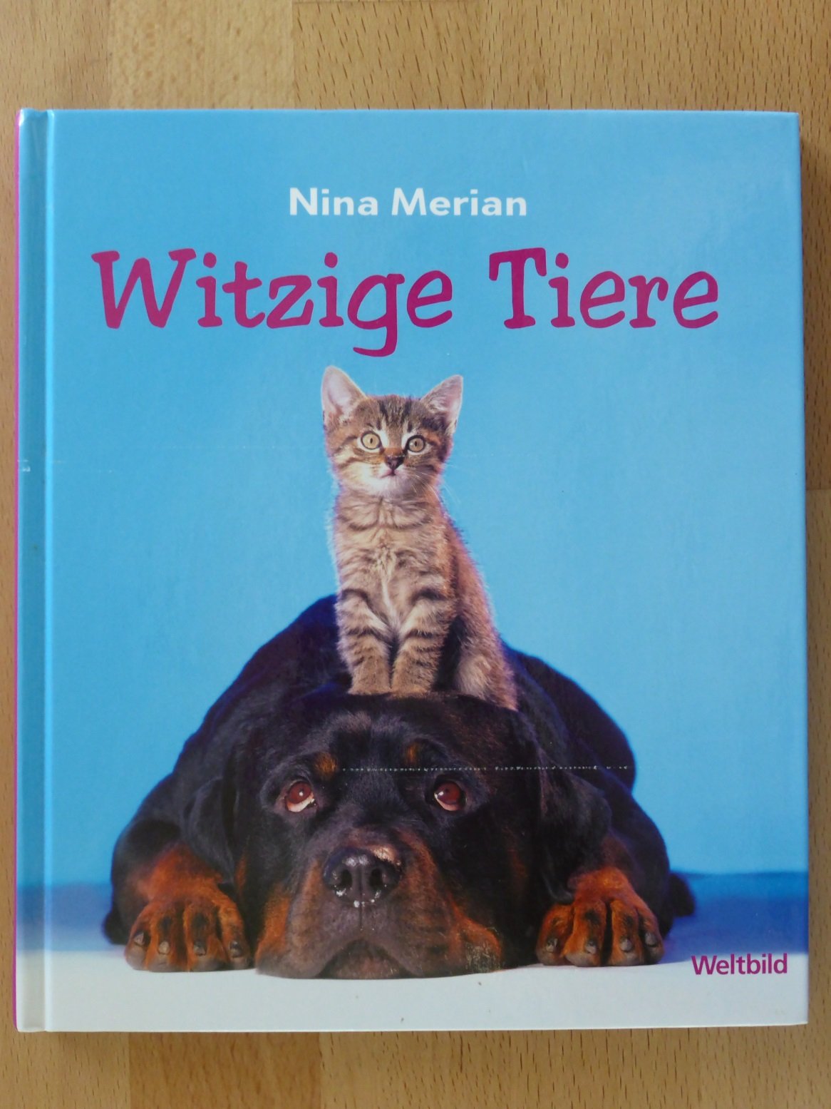 Witzige Tiere Humour & Satire