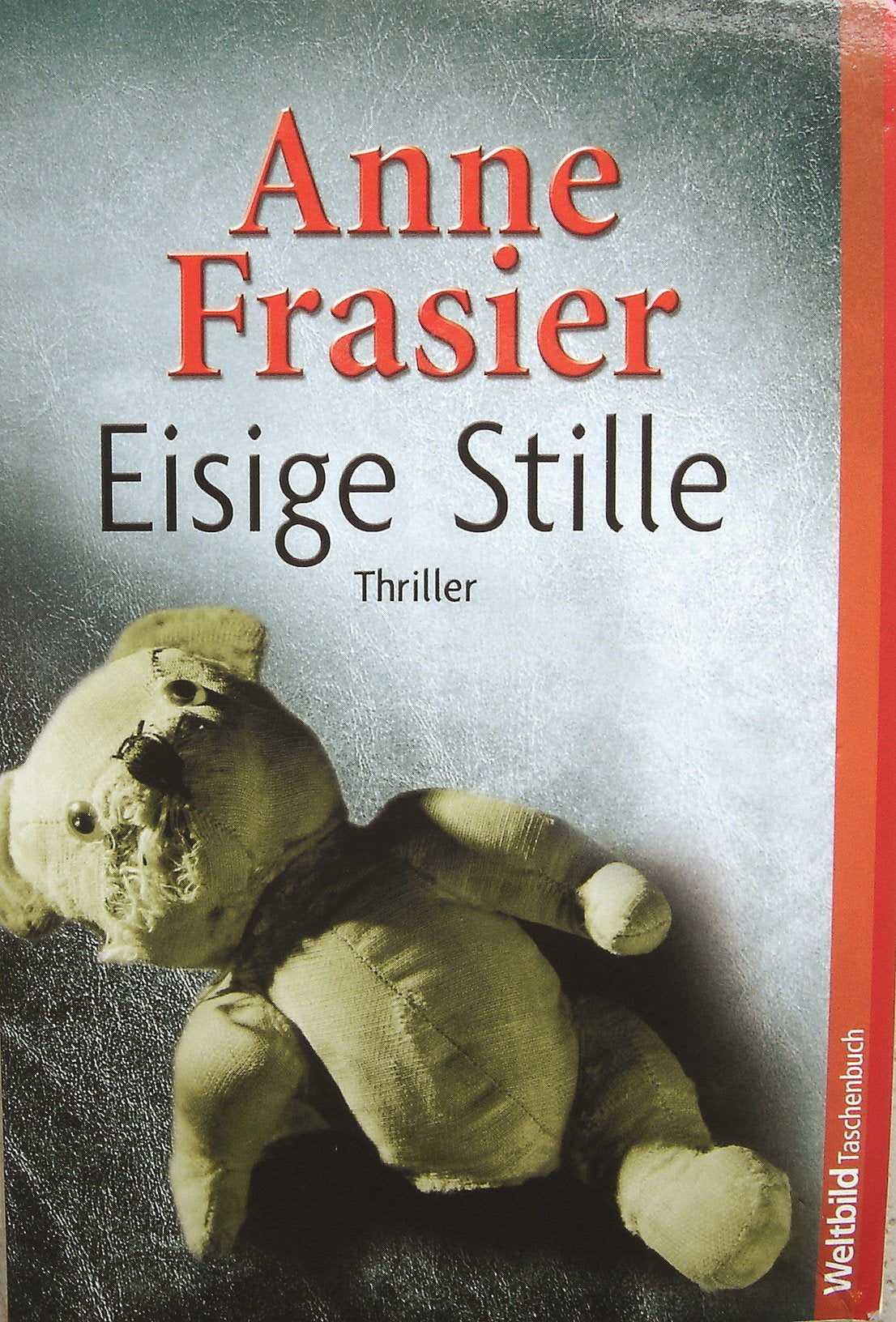 Eisige Stille Contemporary literature Books