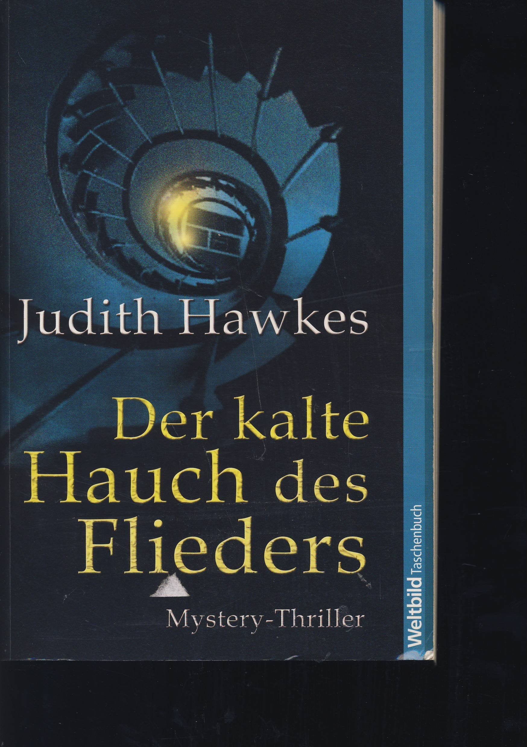 Der kalte Hauch des Flieders Contemporary literature
