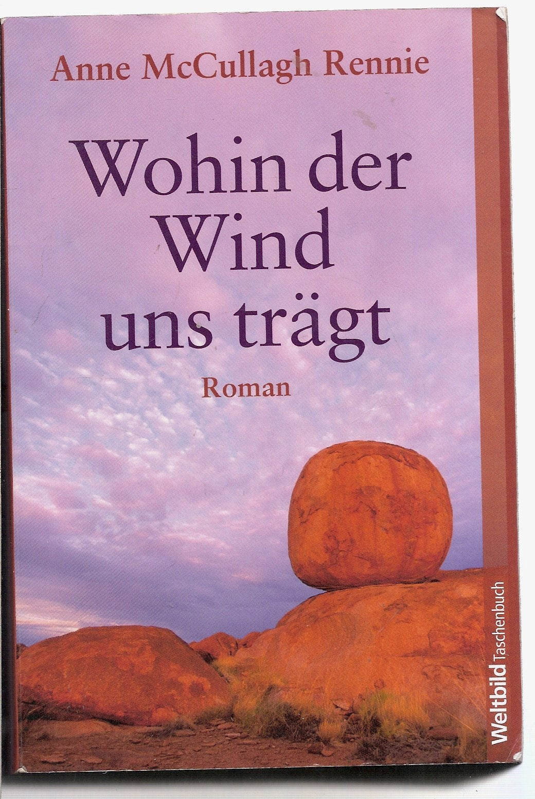 Wohin der Wind uns trägt Contemporary literature