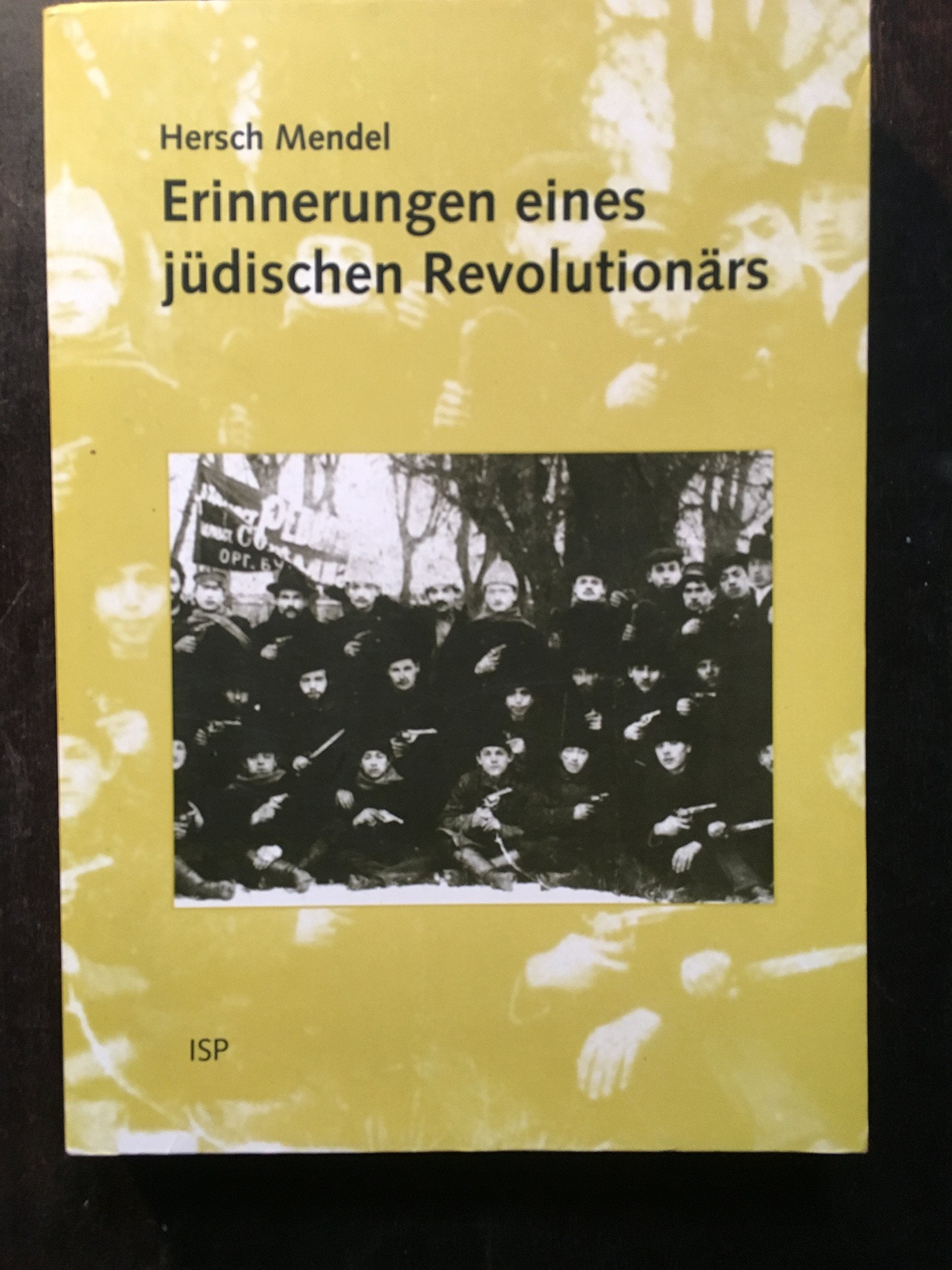 Erinnerungen eines jüdischen Revolutionärs: Mit e. Einl. v. Isaac Deutscher u. e. Nachw. v. Jakob Moneta Politics & Society
