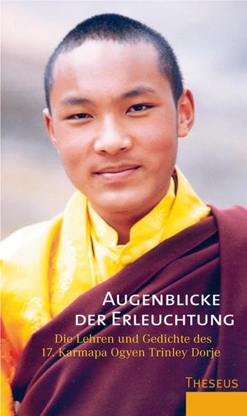 Augenblicke der Erleuchtung: Die Lehren und Gedichte des 17. Karmapa Ogyen Trinley Dorje: Die Lehren und Gedichte des 17. Karmapa Ogyen Trinley Dorje. ... sechzehn Karmapas v. Dzogchen Ponlop Rinpoche Religion & Esotericism