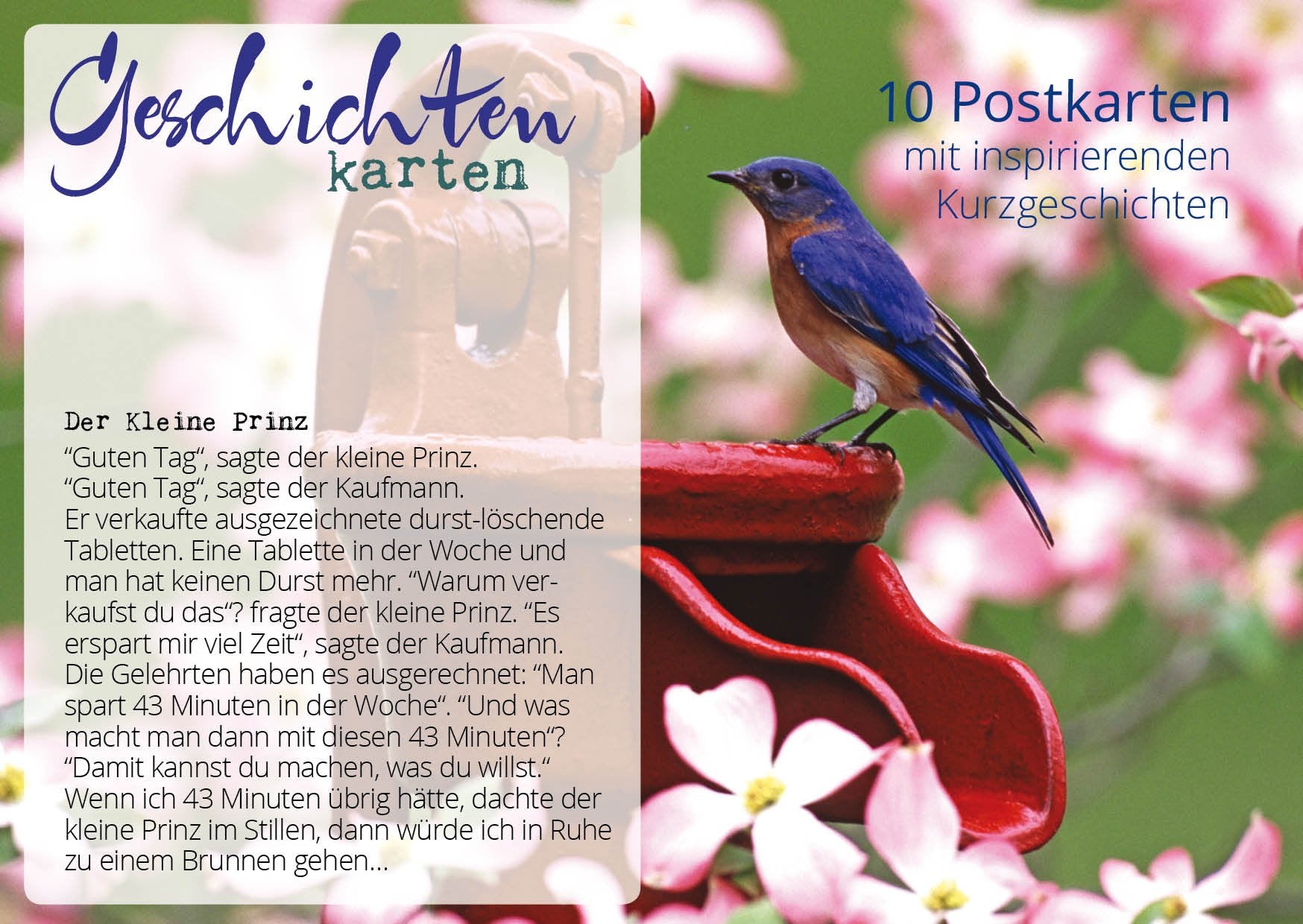Geschichtenkarten Serie 3: 10 Postkarten mit inspirierenden Kurzgeschichten in einer schönen Verpackung Reference Books