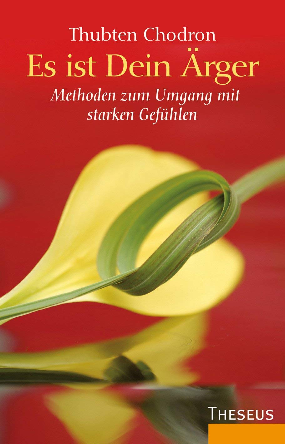 Es ist Dein Ärger Psychology Books