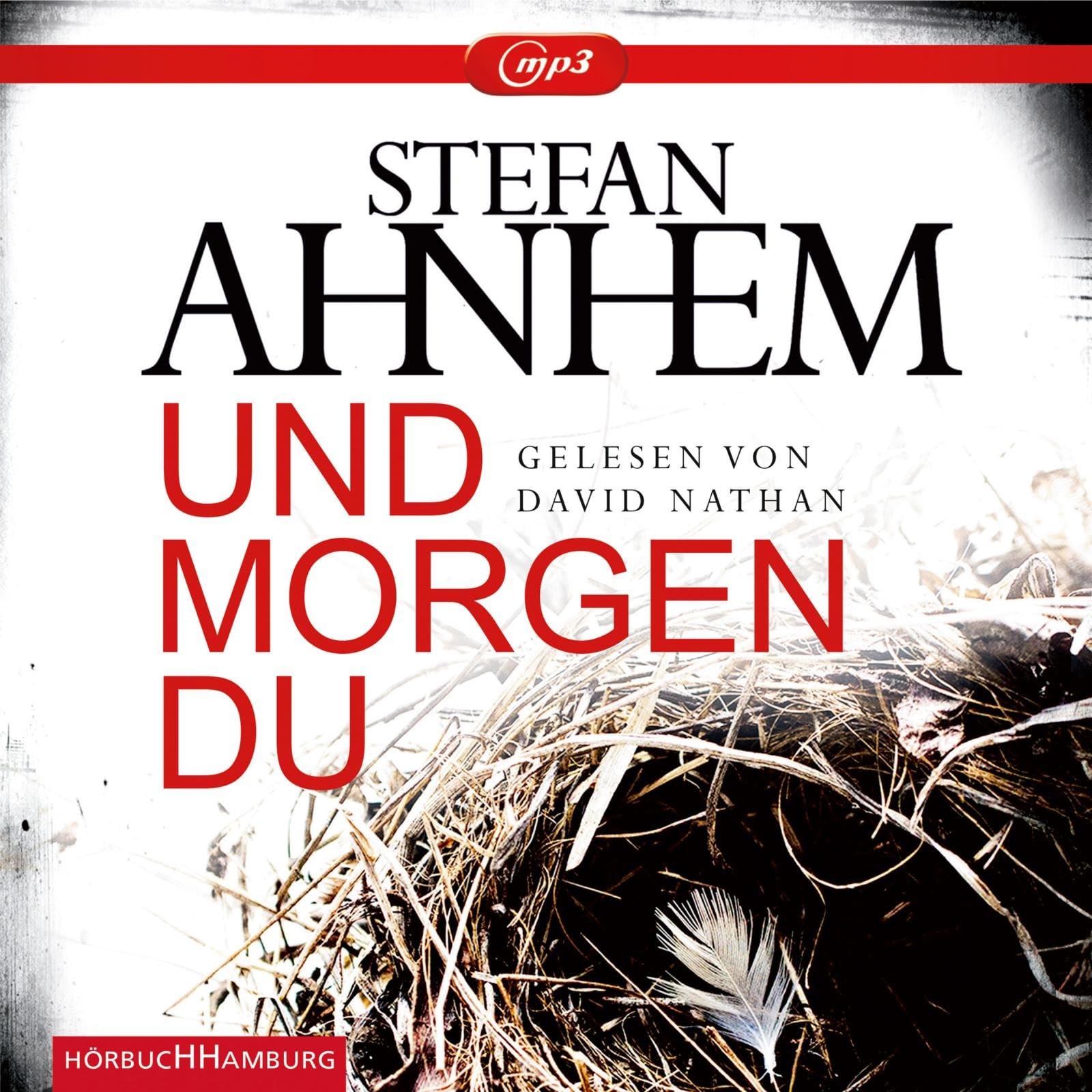 Und morgen du (Ein Fabian-Risk-Krimi 1): 2 CDs Contemporary literature