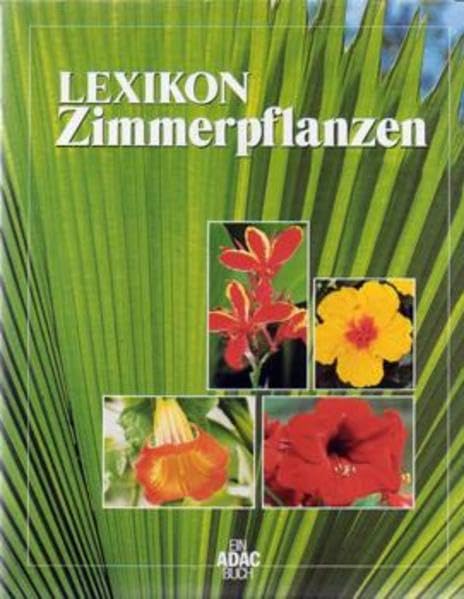 Ratgeber und Lexikon Zimmerpflanzen: Zimmerpflanzen - Lexikon Garden & Plants
