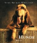 Hunde Photography