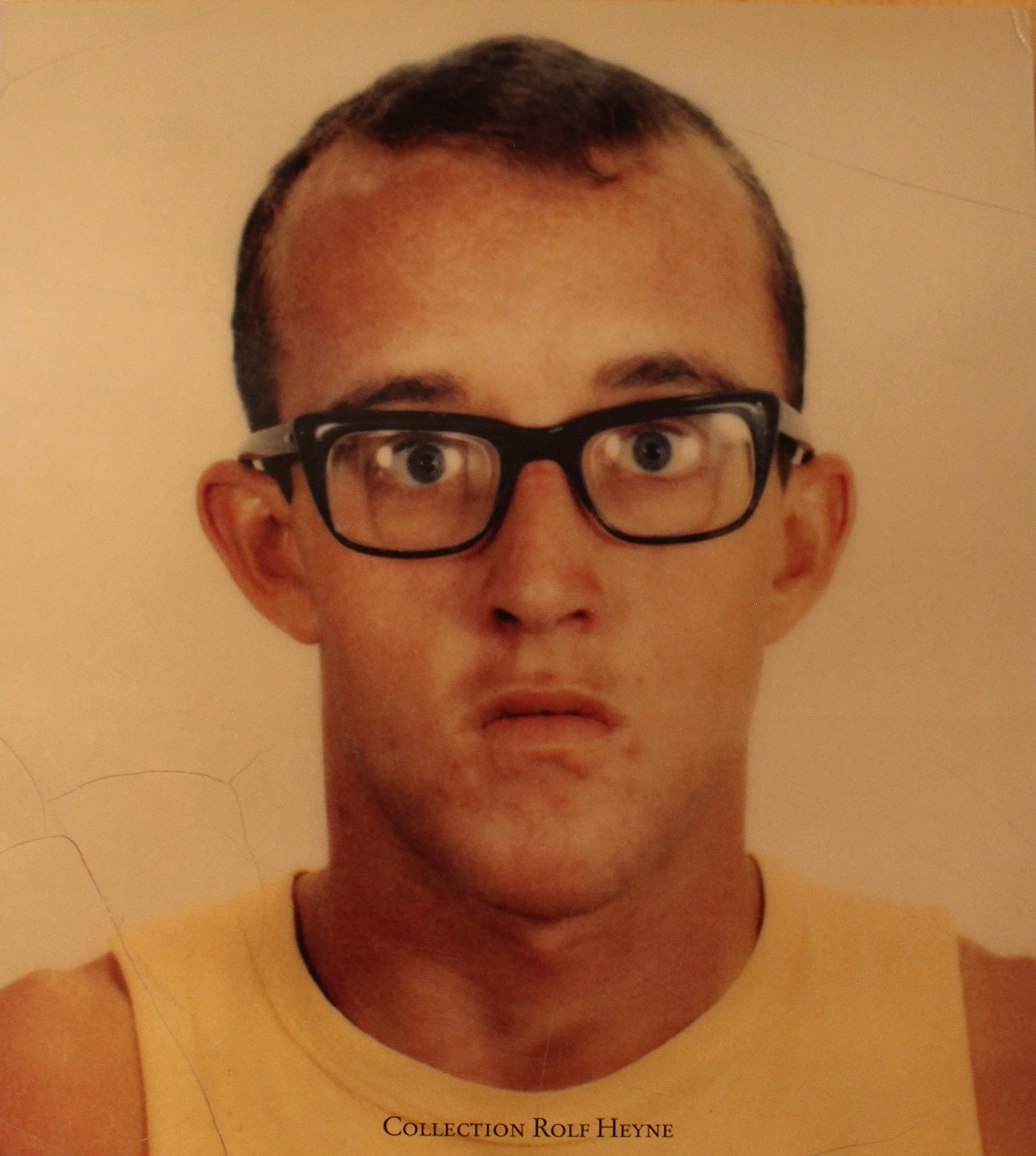 Keith Haring Natural Sciences