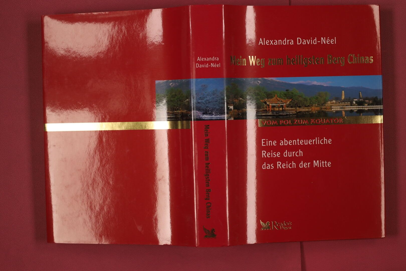 Mein Weg zum heiligsten Berg Chinas - Eine abenteuerliche Reise durch das Reich der Mitte (Vom Pol zum Äquator) Books