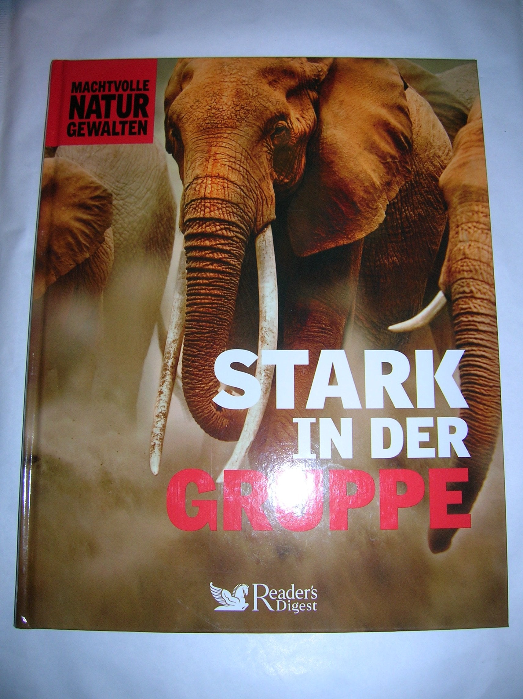 Stark in der Gruppe - unbekannt book
