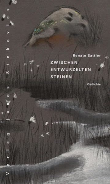 Zwischen entwurzelten Steinen Poetry