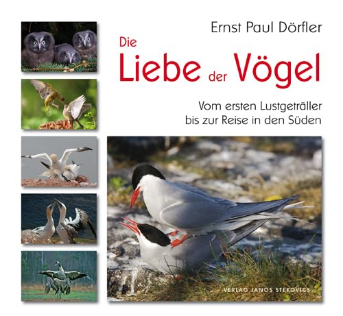 Die Liebe der Vögel Leisure, Home & Garden