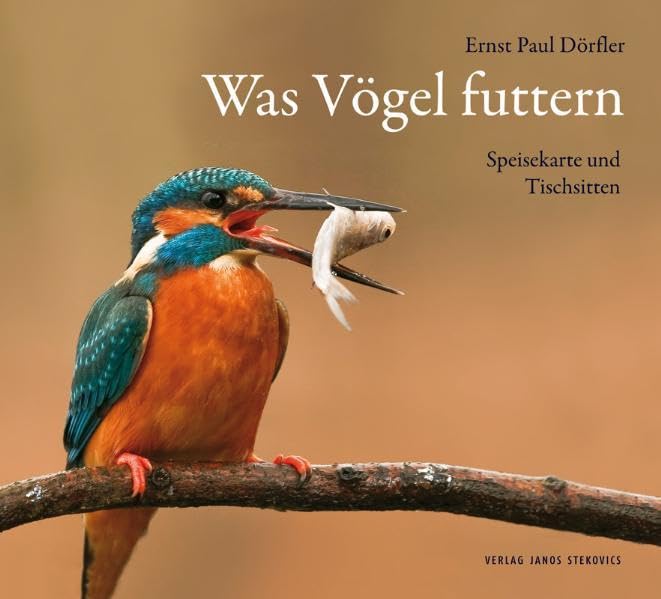 Was Vögel futtern Architecture