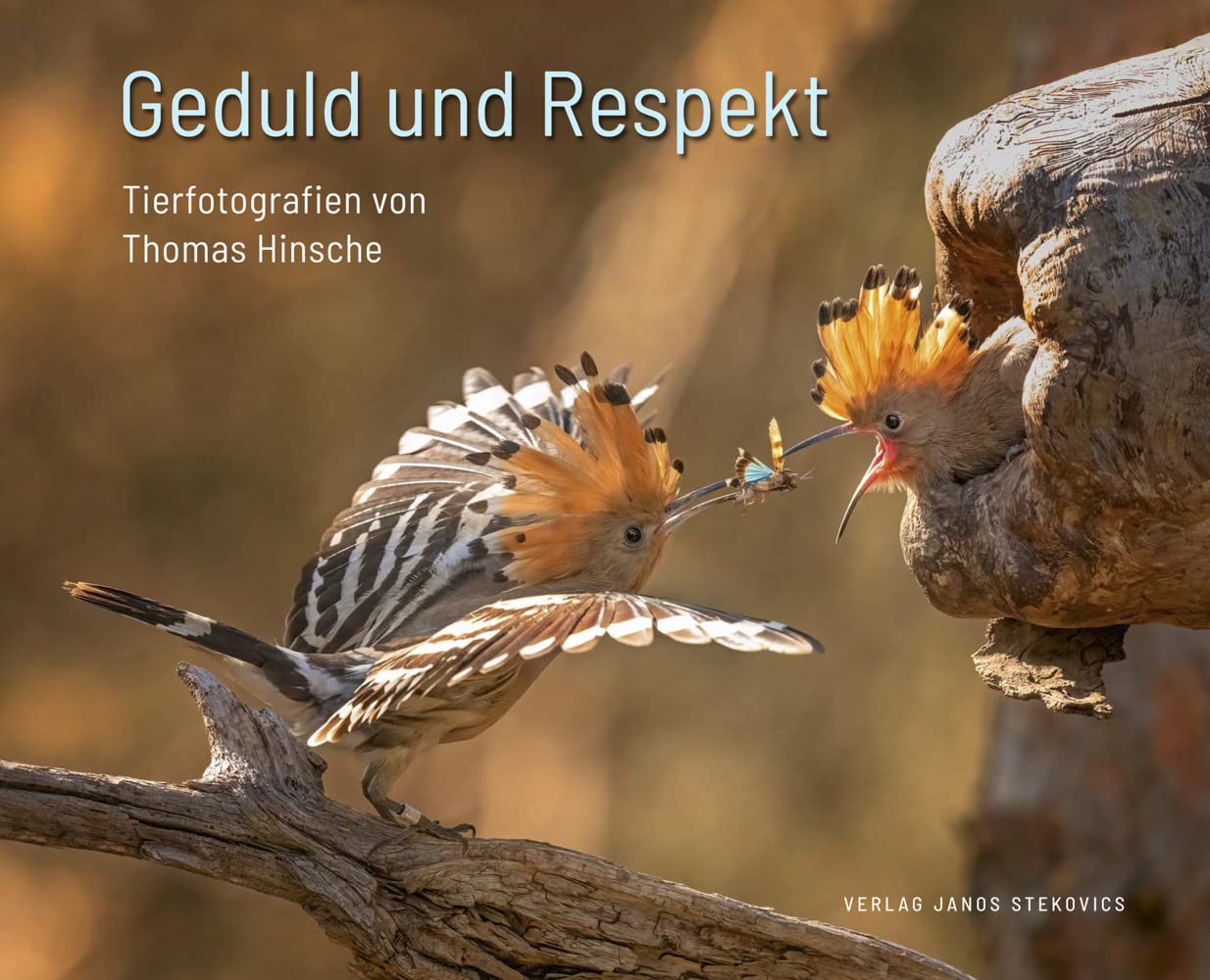 Geduld und Respekt: Tierfotografien von Thomas Hinsche (edition stekofoto) Mathematics