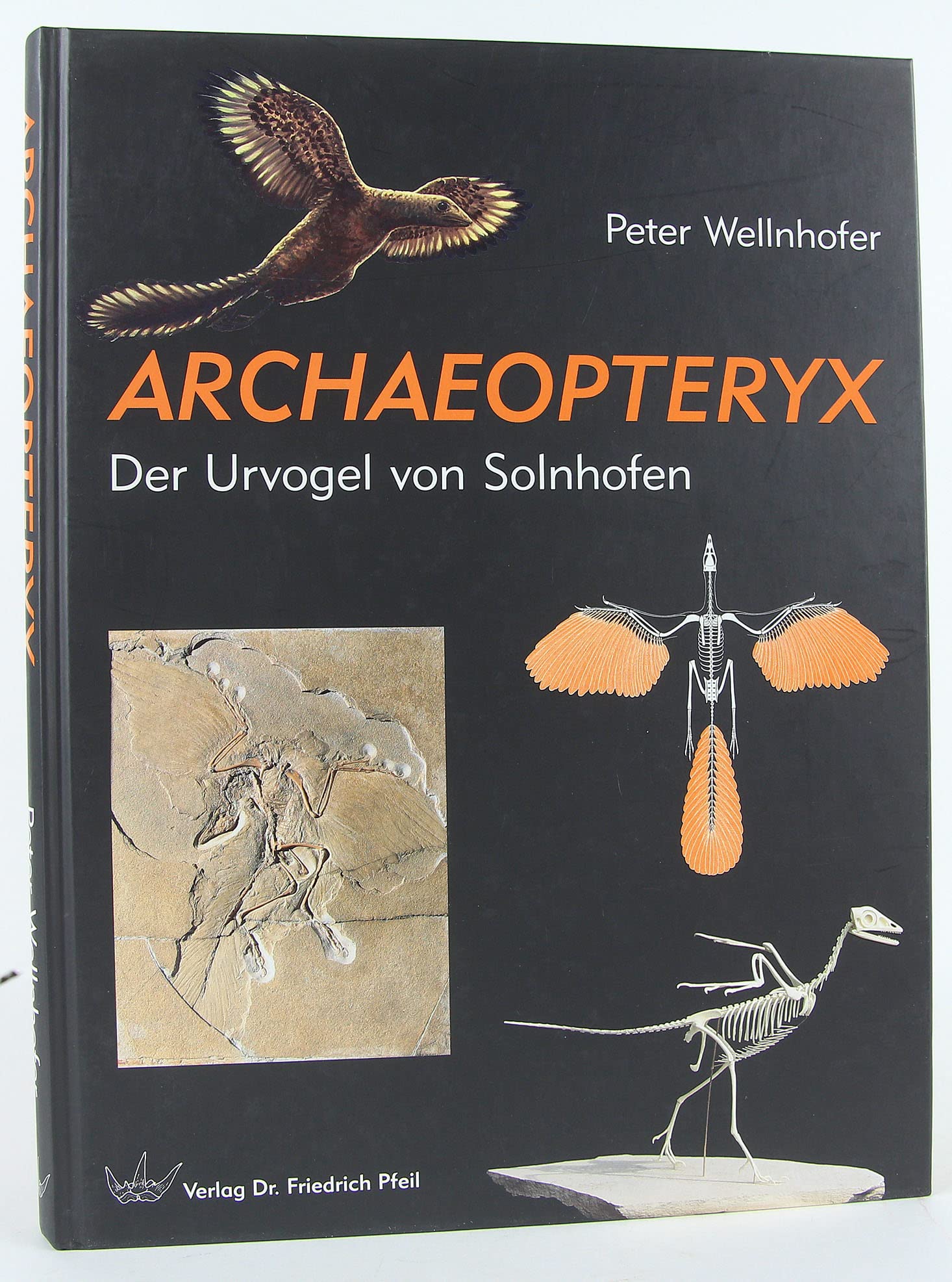 Archaeopteryx: Der Urvogel von Solnhofen Fiction