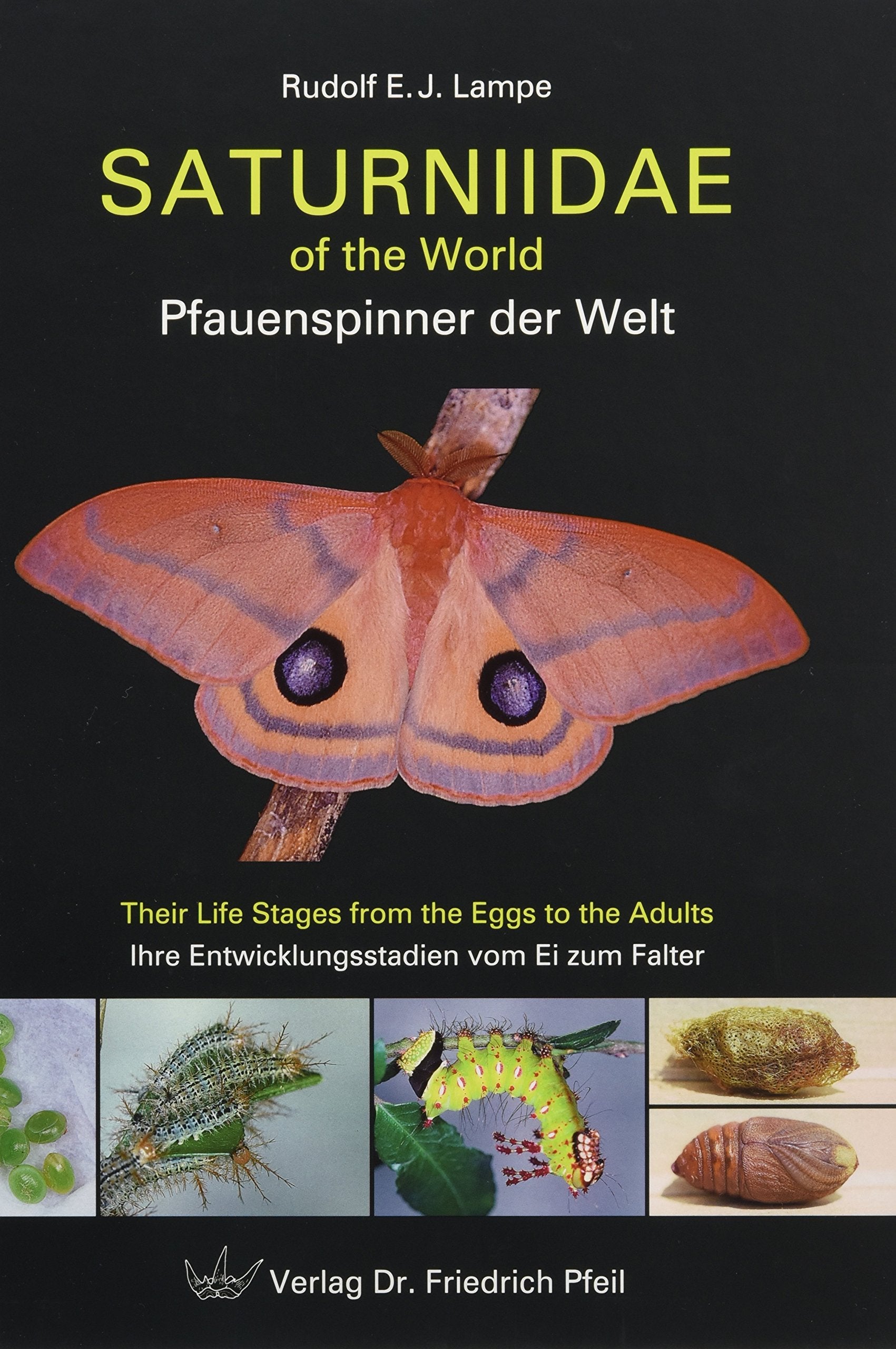 Saturniidae of the World – Pfauenspinner der Welt: Their Life Stages from the Eggs to the Adults – Ihre Entwicklungsstadien vom Ei zum Falter Natural Sciences