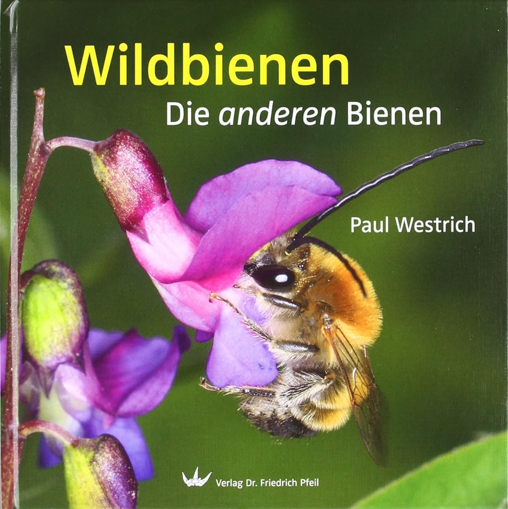 Wildbienen Natural Sciences