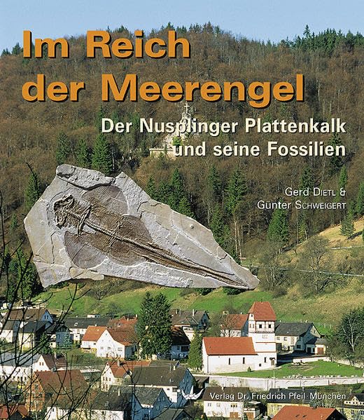Im Reich der Meerengel: Der Nusplinger Plattenkalk und seine Fossilien Leisure, Home & Garden