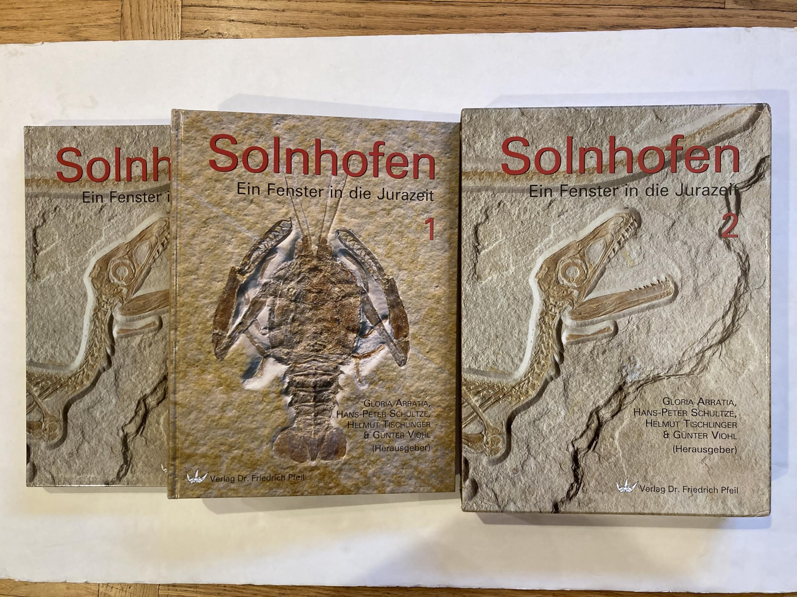 Solnhofen – Ein Fenster in die Jurazeit 1+2 – Gesamtausgabe Business & Technology