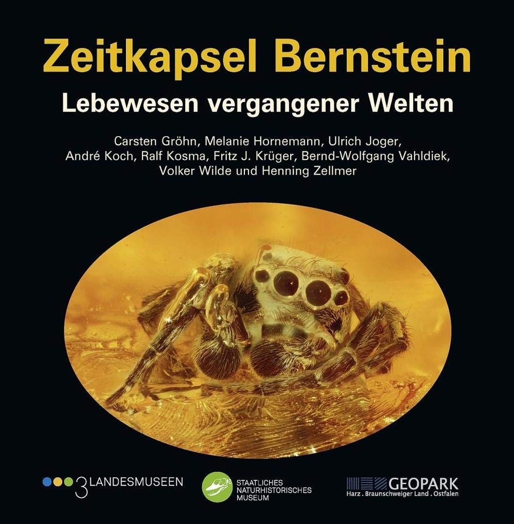 Zeitkapsel Bernstein – Lebewesen vergangener Welten Business & Technology