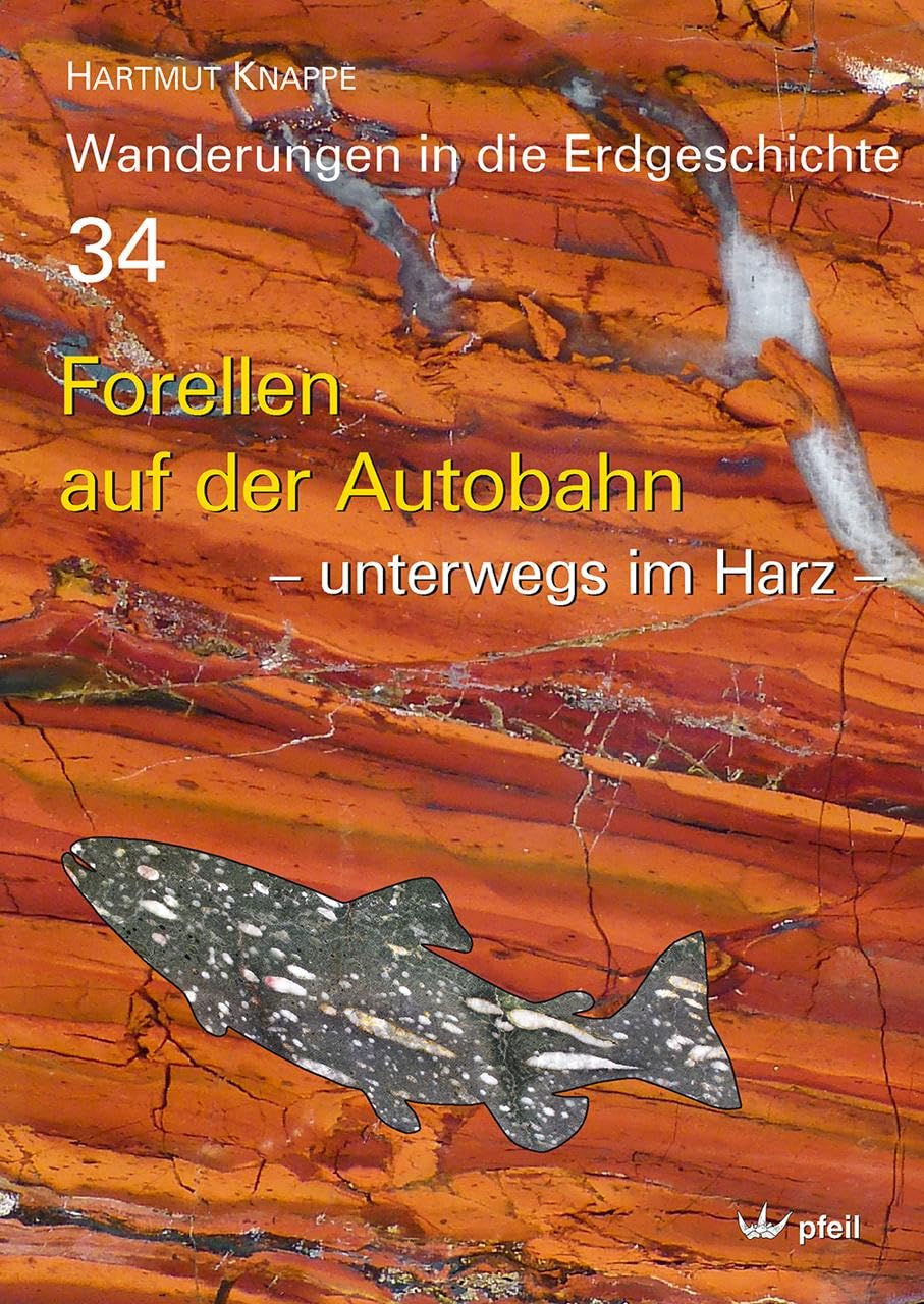 Forellen auf der Autobahn: – unterwegs im Harz – (Wanderungen in die Erdgeschichte) Business & Technology