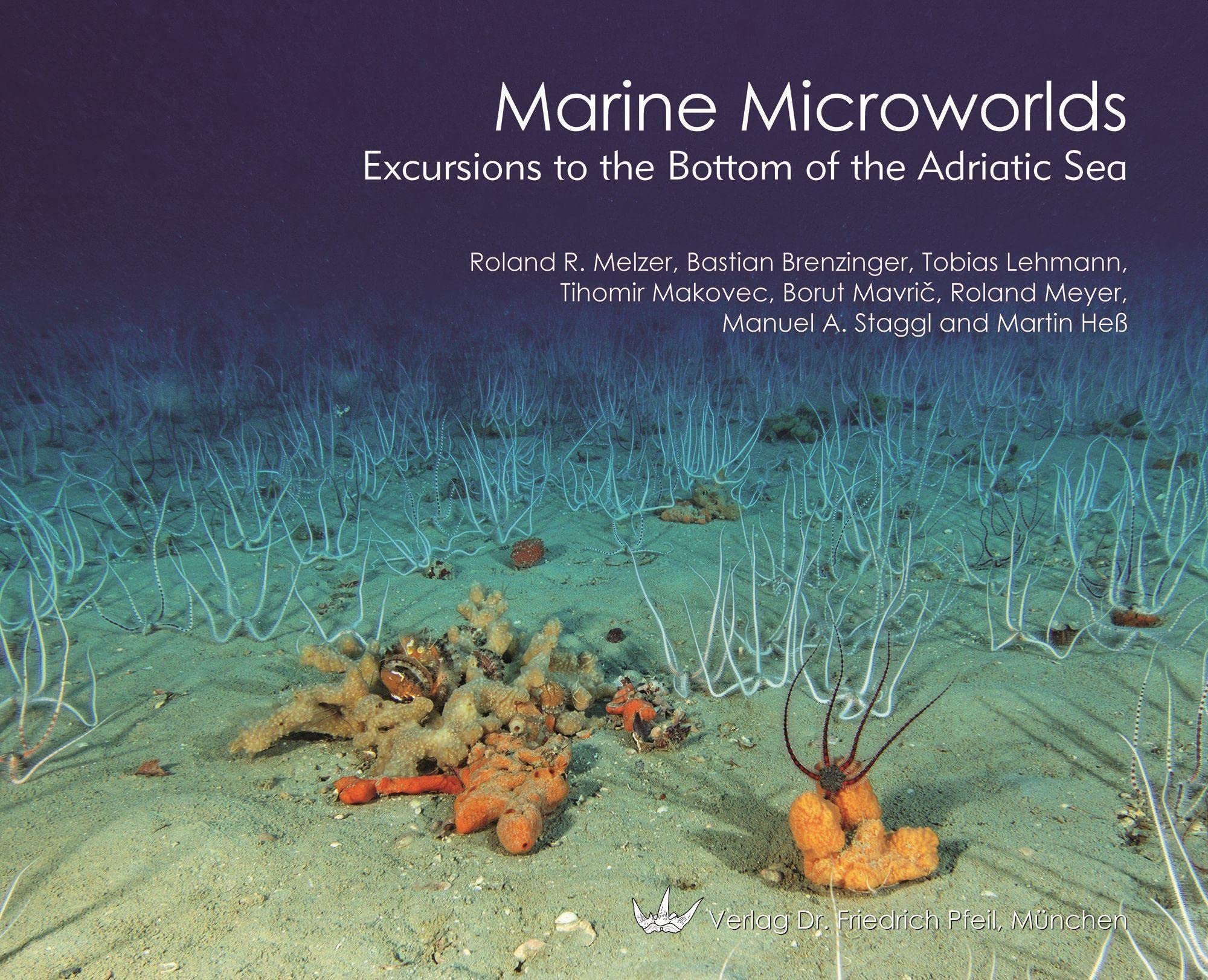 Marine Microworlds: Excursions to the Bottom of the Adriatic Sea Natural Sciences