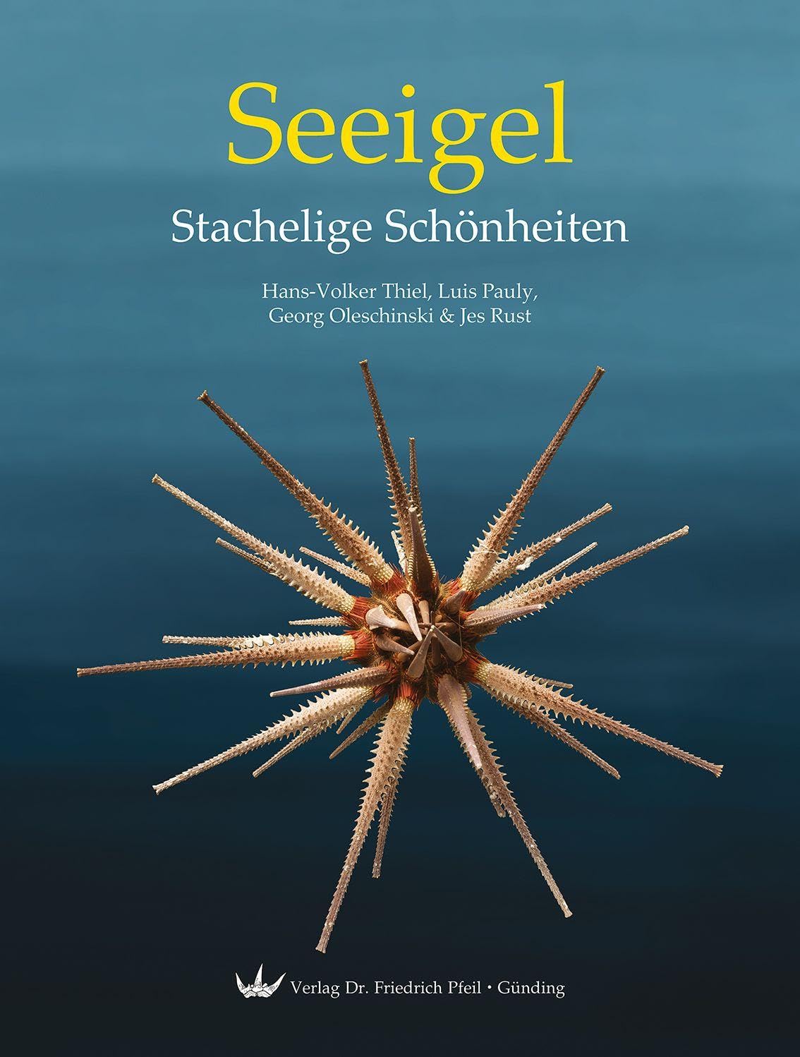 Seeigel - Stachelige Schönheiten Business & Technology