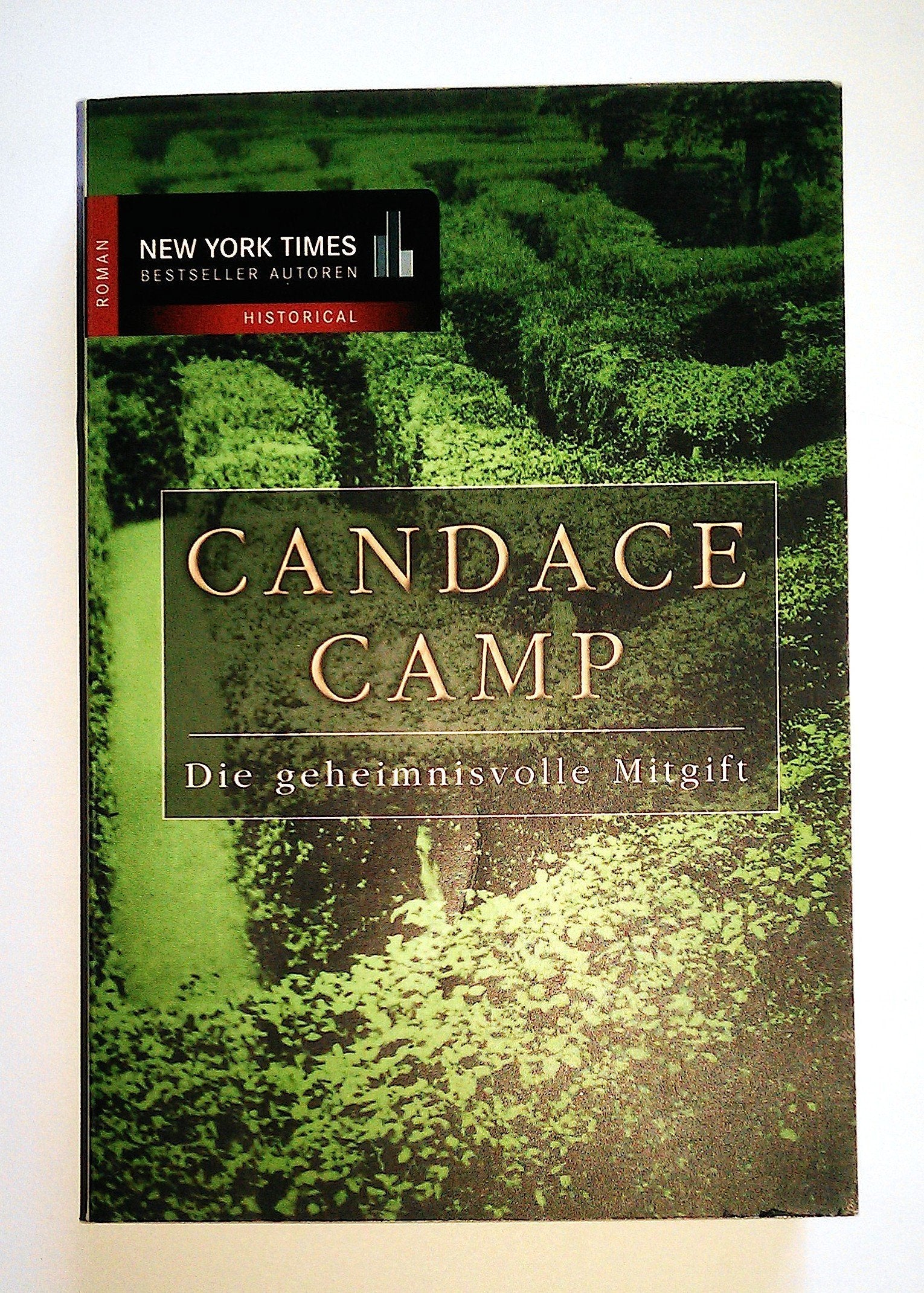 Die geheimnisvolle Mitgift (New York Bestseller Autoren: Historical) Books