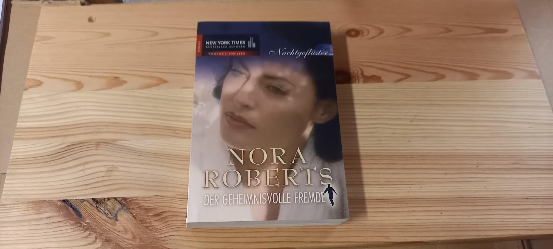 Nachtgeflüster 2 - Der geheimnisvolle Fremde Contemporary literature