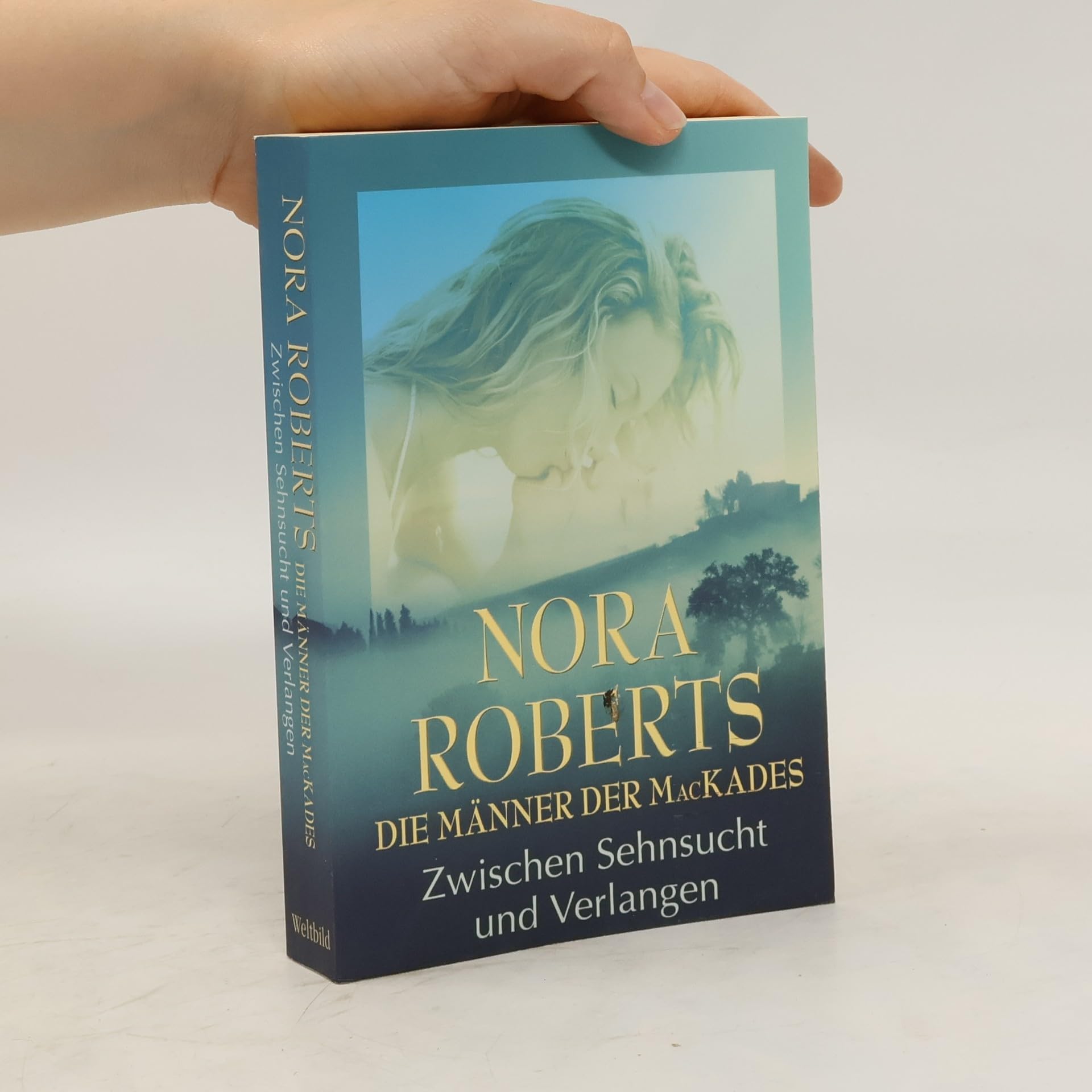 Die Männer der MacKades : Zwischen Sehnsucht und Verlangen (c6t) ( Großdruck ) Books
