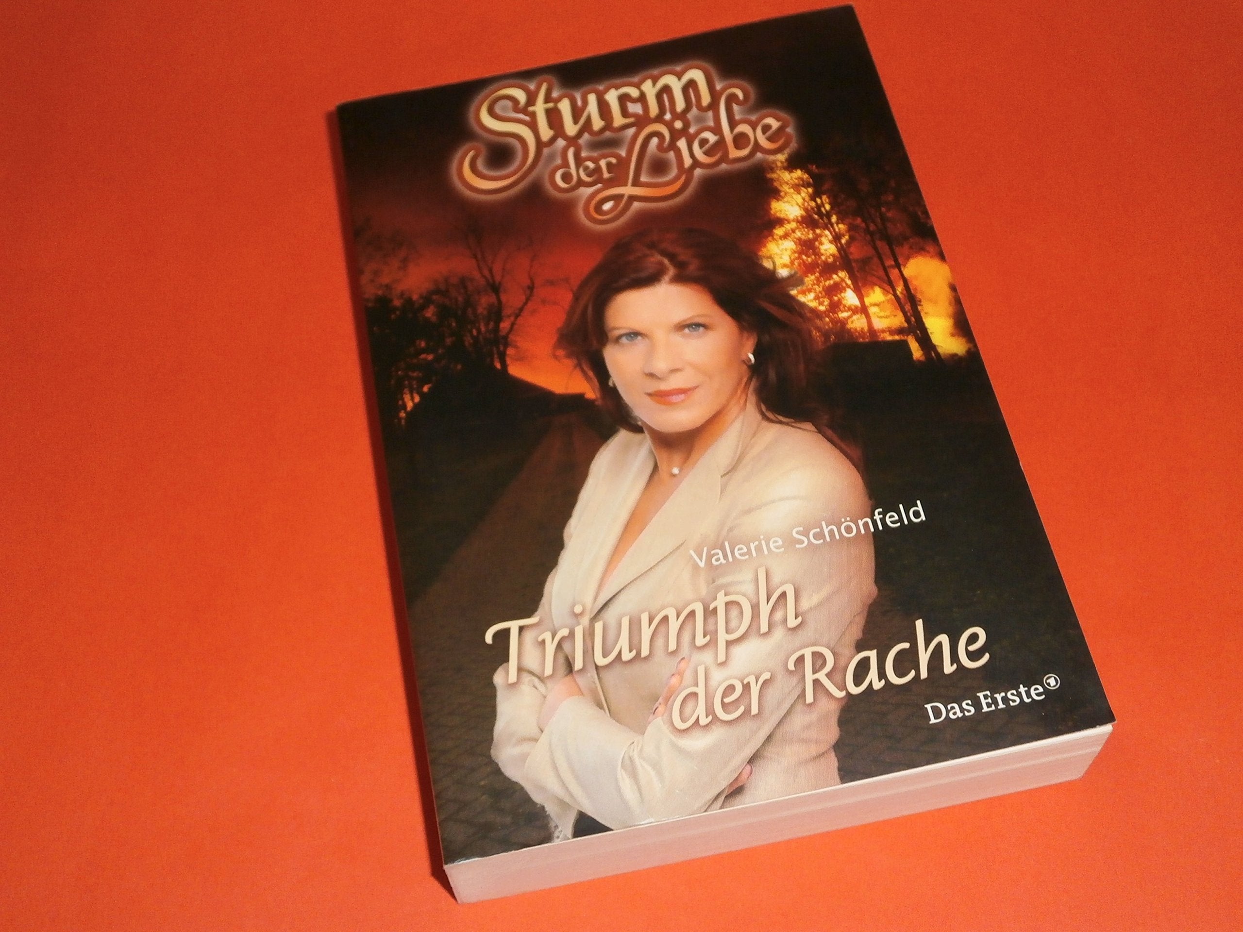 Sturm der Liebe / Triumph der Rache Contemporary literature