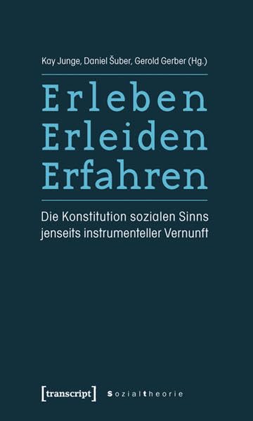 Erleben, Erleiden, Erfahren: Die Konstitution sozialen Sinns jenseits instrumenteller Vernunft (Sozialtheorie) Law