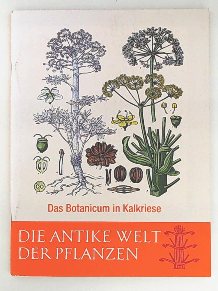 Die Antike Welt der Pflanzen: Das Botanicum in Kalkriese Politics & History