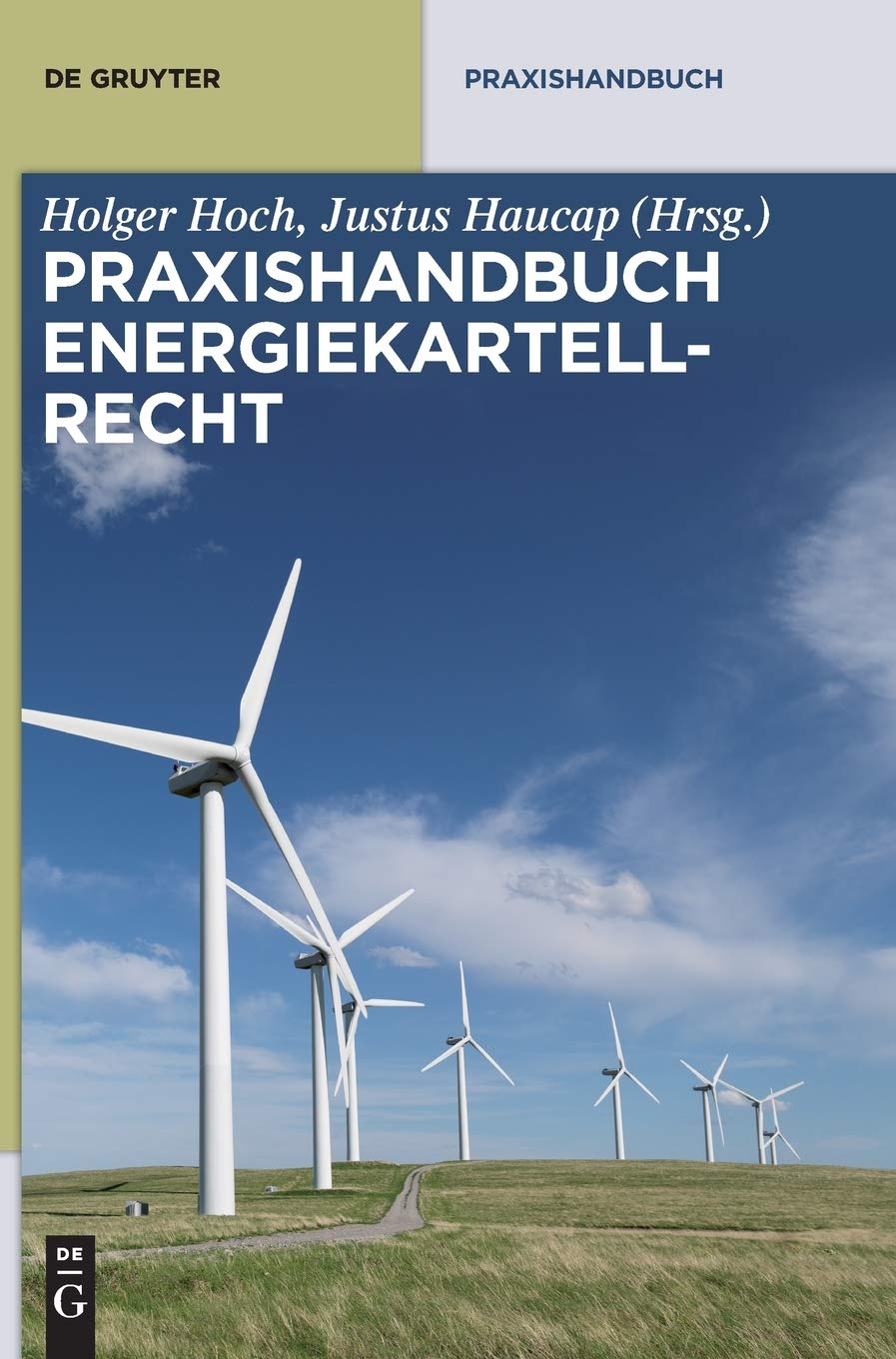 Praxishandbuch Energiekartellrecht (De Gruyter Praxishandbuch) Law