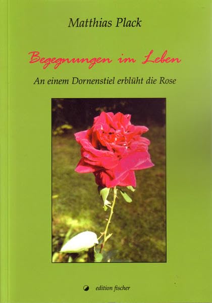 Begegnungen im Leben: An einem Dornenstiel erblüht die Rose - Plack, Matthias book