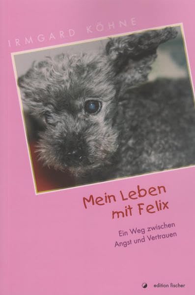 Mein Leben mit Felix Contemporary literature